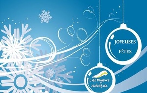 Bonnes fêtes de fin d'année